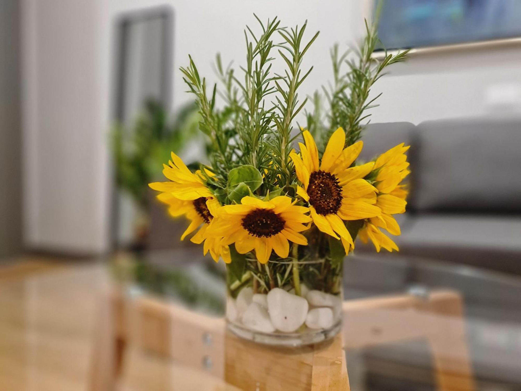 Rosemarine Villas Драч Екстериор снимка